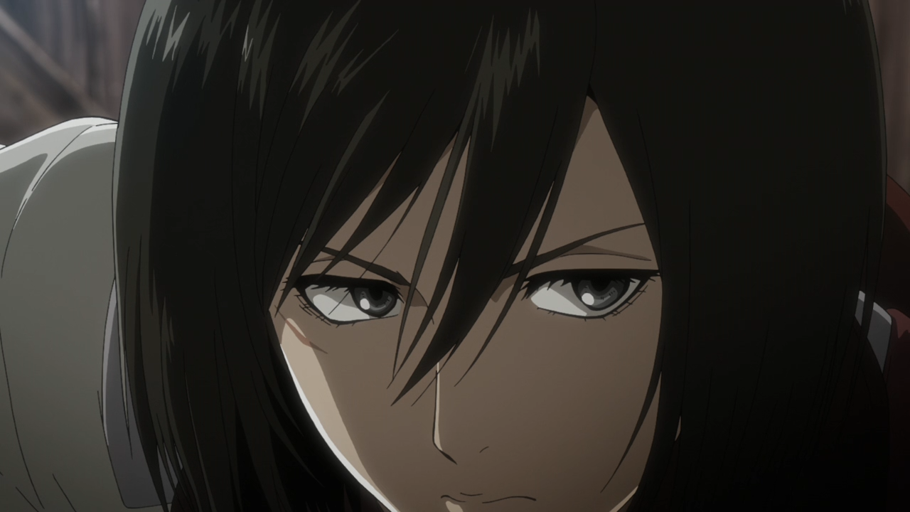 Ataque a los Titanes - Temporada 3 (Anacrónico Fansub)